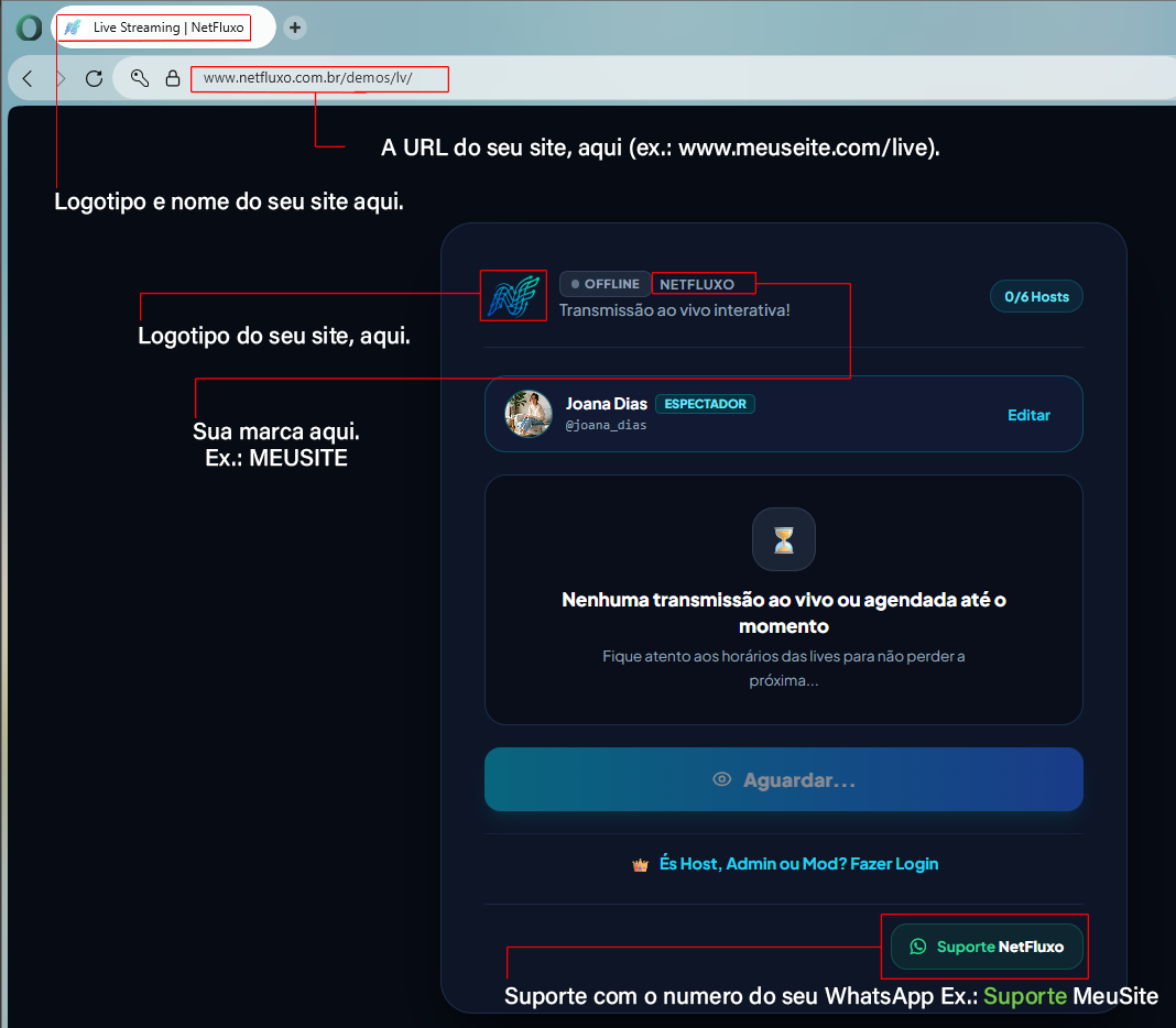Esquema de Identidade Visual na Live